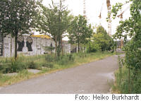 Berliner Mauer, Parlament der B�ume